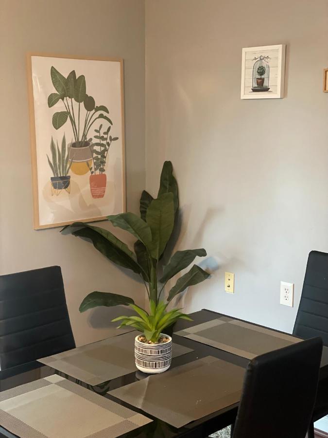 Cute 2-Brm Walkout Apt With Pool Table And Theater Apartment Lexington Bagian luar foto